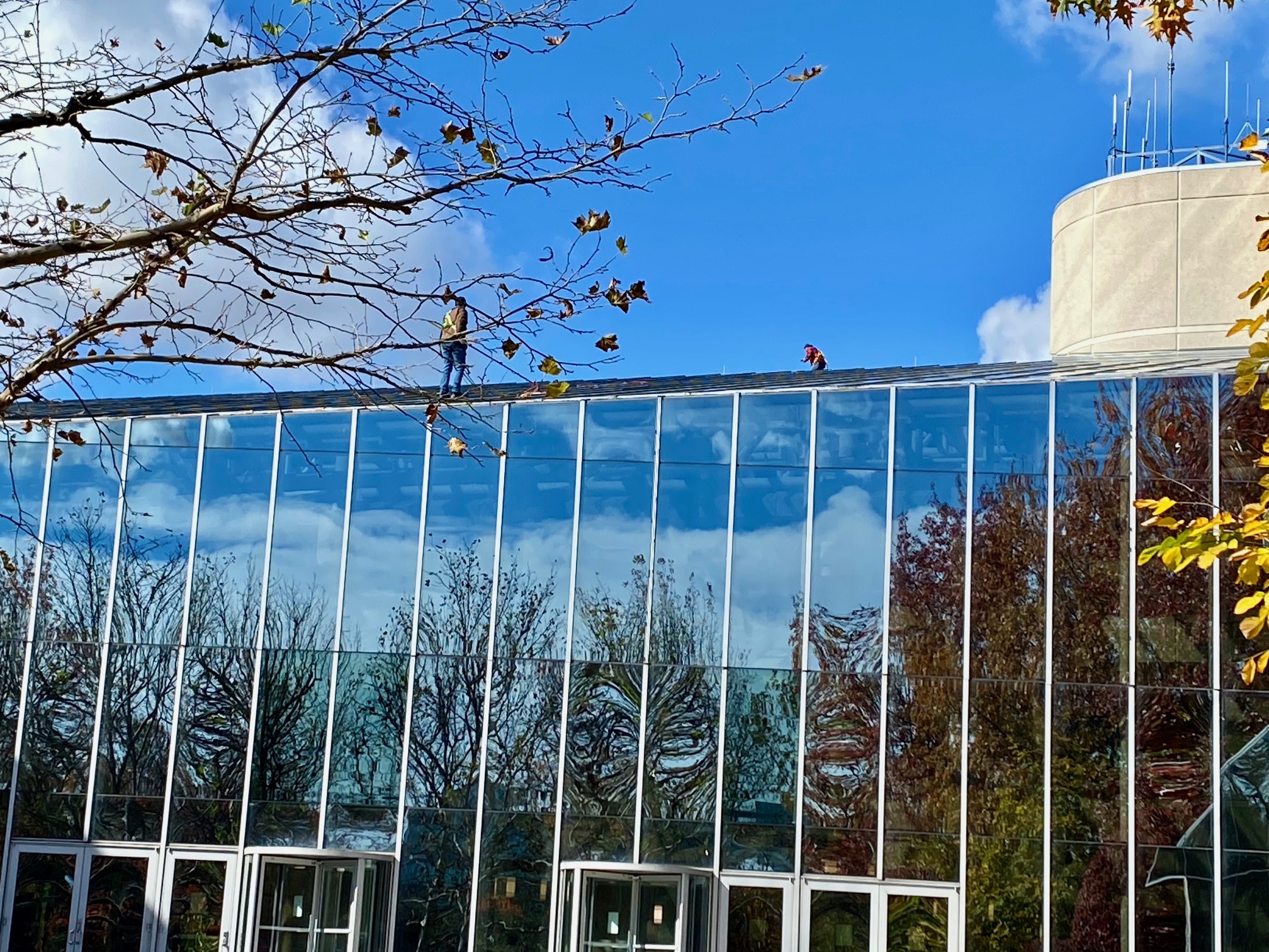 Rope access window cleaning by Beak Buster